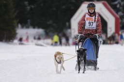 Lenzerheide 2013